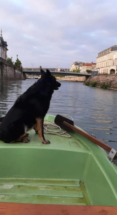 Le Gite Embarque - Gere Par Presta-Zen'Services - Barque Electrique En Supplement Verdun-sur-Meuse Luaran gambar